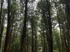 -同里国家湿地公园