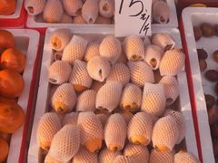 -红星农博物流中心