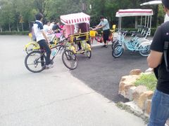 游乐设施-旺山景区