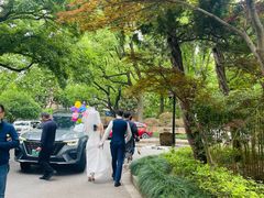 -申粤轩酒楼·三十年粤菜经典(丁香花园店)