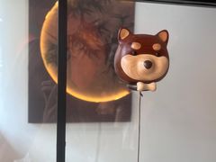 -星多哈·狗咖·拼豆·咖啡