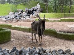 -北京野生动物园