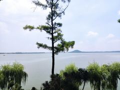 -东湖听涛景区