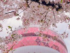 -东方明珠广播电视塔