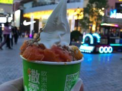 -Salud撒露欧洲冻酸奶(蓝色港湾店)