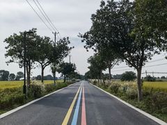 -莲花岛景区