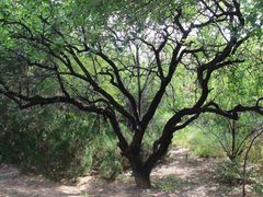 -青州市云门山风景区