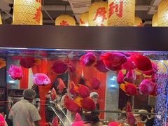 -朱光玉火锅馆(正弘城店)