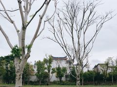 -牛岗山公园