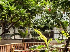 -呀路古热带植物园
