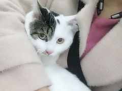 -瑞鹏宠物医院·爱宠堂·骨外专科(西荷分院)