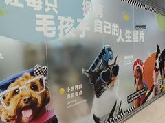 -帕帕拉兹宠物(亚洲旗舰店)