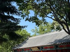 -王厚元饺子·辽菜·烤鸭(工会大厦店)