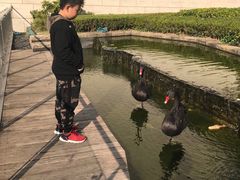 -行者书屋大堂吧 ·下午茶(南京圣和府邸酒店)