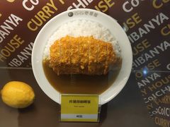 -COCO壱番屋(北京平安国际金融中心店)