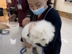 -美联众合动物医院·24h京西诊疗中心