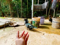 -柘林湖生态鱼馆