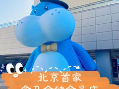 -盒马X会员店(王府井奥莱UP TOWN店)