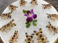 花竹虾刺身-富来美食(成发大厦店)