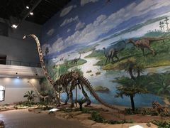 -自贡恐龙博物馆