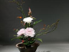 -荷兰布尔玛国际花艺学院