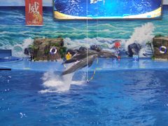 -多彩贵州城极地海洋世界