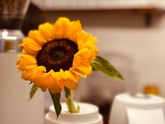 -Catch Bagel(芳草地店)