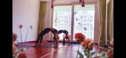 -Yvon yoga 瑜伽·精准体态管理中心
