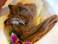 -红鼎坊·老成都火锅(新南门店)