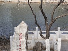 -桃花堤公园