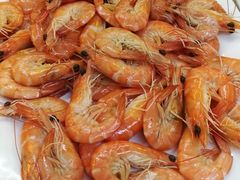 -西涌国际滨海旅游区