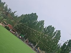 -尺木神奇世界