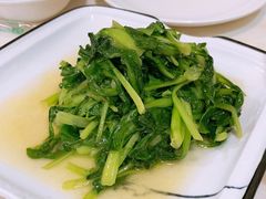 清炒鸡毛菜-19号私房菜(云南路店)