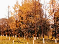 -重庆中央公园(渝北区)