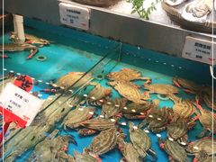 -必点海鲜·鲅鱼水饺(鞍山西道店)