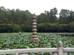 -南国桃园旅游度假区