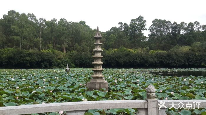 南国桃园旅游度假区图片