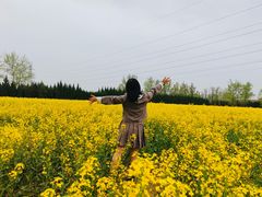 -汉长安城未央宫国家考古遗址公园