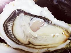 -囧吉香生蚝牛排馆(湖北路店)