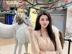 -红星美凯龙北京至尊MALL(东四环中路店)