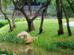 -人民公园(罗湖区)