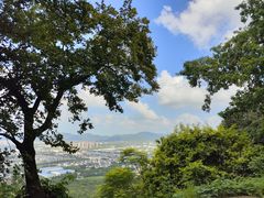 -灵岩山风景区