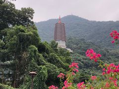 -深圳仙湖植物园