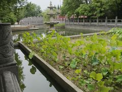 -洛阳白马寺