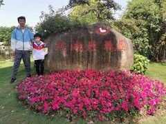 -鹅湖玫瑰文化园