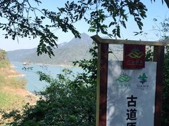 -羚羊峡古栈道森林公园