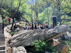 -王顺山国家森林公园