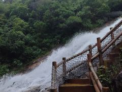 -广州白江湖森林公园