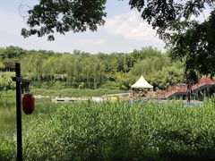 -西安汉城湖景区