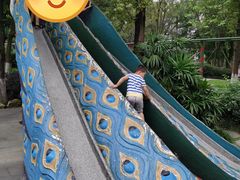 -成飞公园